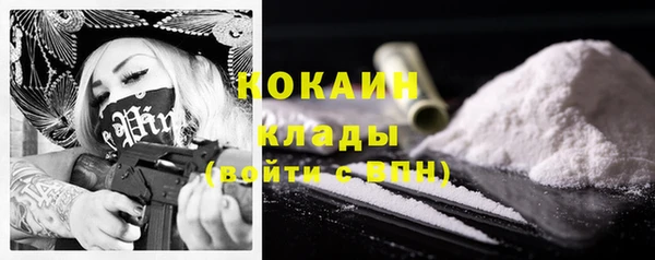 индика Каменногорск