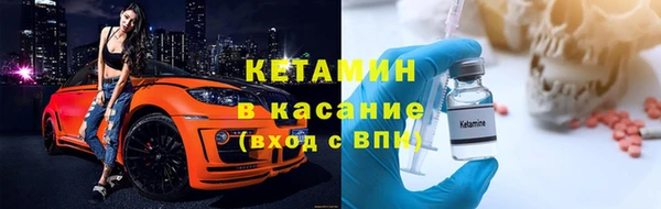 индика Каменногорск