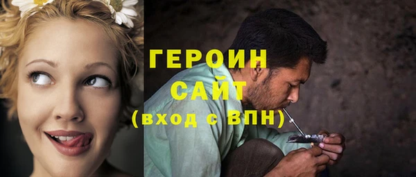 индика Каменногорск