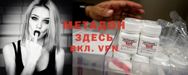 индика Каменногорск