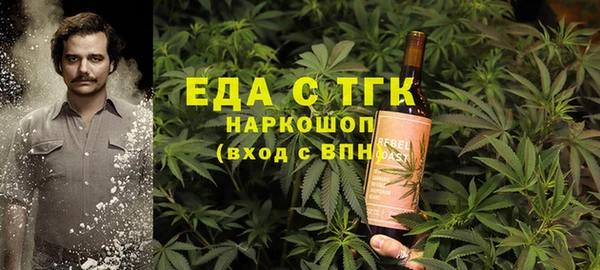 индика Каменногорск