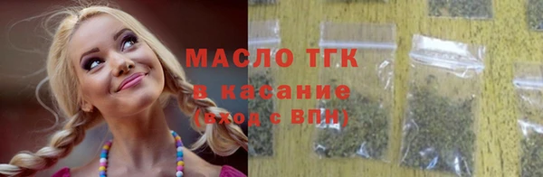 индика Каменногорск