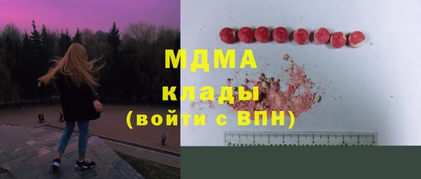 индика Каменногорск