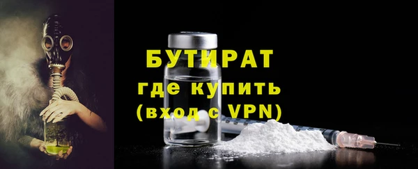 индика Каменногорск