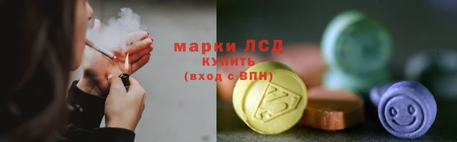 индика Каменногорск