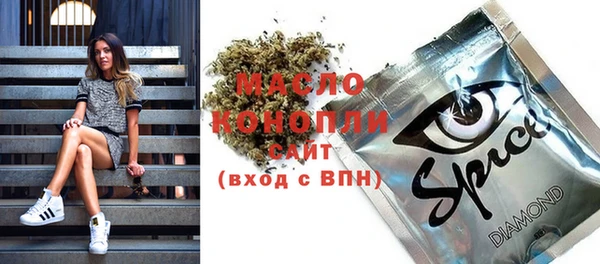 индика Каменногорск