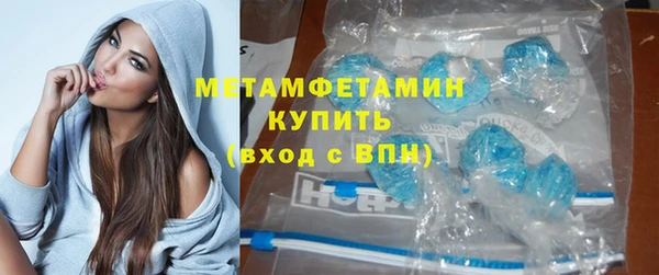 индика Каменногорск