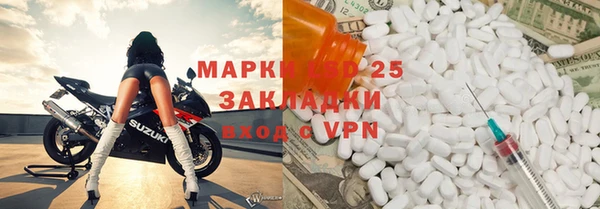индика Каменногорск